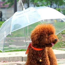 China sun pet dog umbrella manufacturer