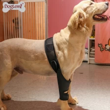 China Hundevordere Beinstütze Beinstütze Stütze Haustierverletzung Knieschutz Hock Joint Beinhülse für Hinterbein Pet Brace heilt und verhindern Verletzungen Hersteller