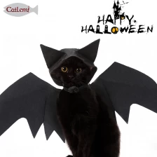 porcelana Traje de gato murciélago de Halloween fabricante