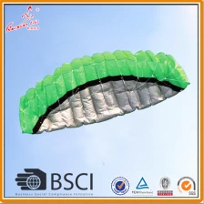 China 2.5 m Dual Line parafoil Kite zum Verkauf Hersteller