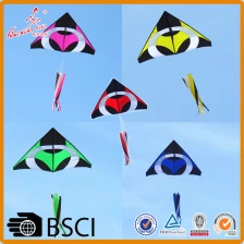 China 2018 hot promotion Sport Kite Delta Strong Frame Funny Outdoor Kite manufacturer