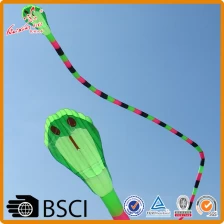 China 40 M Opblaasbare soft snake power kite van weifang kite fabriek fabrikant
