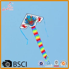 中国 从潍坊风筝制造商容易地飞行与长尾巴的中国龙风筝三角洲风筝 制造商