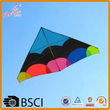 中国 高品质的彩虹三角洲风筝户外玩具从风筝制造商 制造商