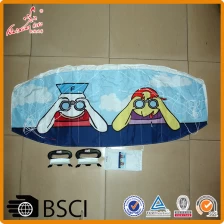 China High quality promotional power kite from the kite factory manufacturer