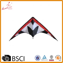 中国 来自中国风筝工厂的促销特技风筝 制造商