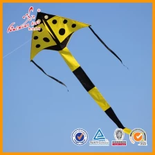 China Single line ladybug delta kite for sale manufacturer