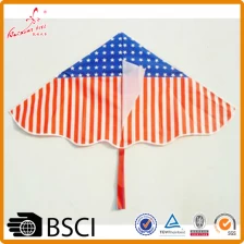 China easy fly flag delta kites for promotion manufacturer