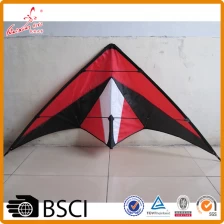 China hoge kwaliteit aangepaste power stunt kite van china kite fabrikant fabrikant