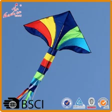 China Outdoor sport rainbow delta kite from the kite factory manufacturer