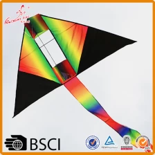 China manufacture high quality 3d rainbow delta kite for kids manufacturer