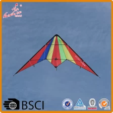 China promotionele aangepaste logo reclame stunt kite fabrikant