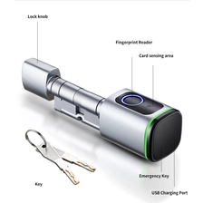 China Easy to Install Tuya TT Lock Option BLE RFID Card Fingerprint Key Smart Cylinder Lock manufacturer