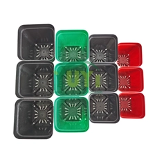 Chine Mini Pot de fleurs succulentes en plastique, vente en gros, bon marché, pour pépinière, avec trou fabricant