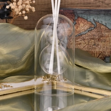 China Unique Design Glass Diffuser Bottle Borosilicate Glass Diffuser manufacturer