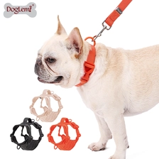 Chine Harnais de laisse de collier doux pour animaux de compagnie fabricant