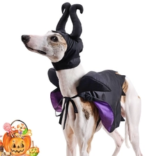 porcelana Venta al por mayor, producto para mascotas, gato de Halloween, ropa de villano para mascotas maléfica, disfraz para perro, reina malvada, disfraz para mascota fabricante