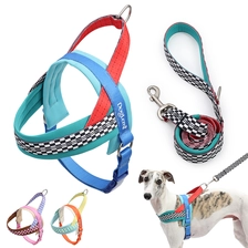 Chine Harnais Anti-traction pour chien mignon, petite maille respirante, logo personnalisé, harnais Durable et étanche pour chien, accessoires pour chiens fabricant