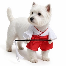 porcelana Nuevo diseño, ropa suave y agradable para la piel, fácil de limpiar, disfraz de bruja de Halloween para mascotas, disfraces de Navidad para mascotas fabricante