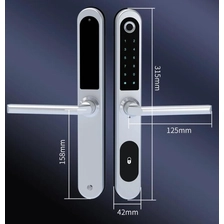 China Keyless Access Digital Tuya App Bluetooth Biometrische Fingerabdruck Aluminium Türschlösser in China Hersteller