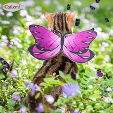 China Schmetterlingsdesign Katze Cosplay Kostüm Hollaween Party Puppy Dog Haustier Katze Kleid Weste Kleidung Hersteller
