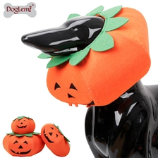 Chine Transfiguration d'Halloween pour Citrouille fabricant