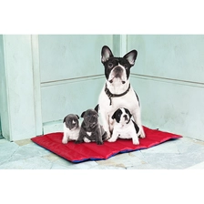 Chine Grand chien double face utilisateur extérieur chien pad fabricant