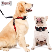 Chine Couverture arrière anti-déflagrante pour chien fabricant