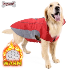 Chine Les vêtements de sport pour chiens de deuxième génération fabricant