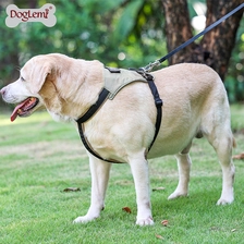 China Wanderhund-Kabelbaum Kein Pull-Haustierweste-Kabelbaum Verstellbares Training Best Gepolsterter Brust Haustiergurt Hersteller