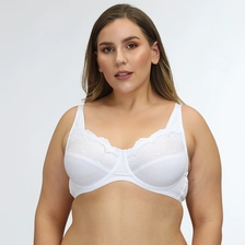 China Plus Size BH Lieferant, China Plus Size Unterwäsche Verkauf Hersteller