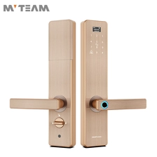 China Advanced Home Security Locks Intelligentes Fingerabdruck-Türschloss mit Türklingel und Diebstahlalarm Hersteller