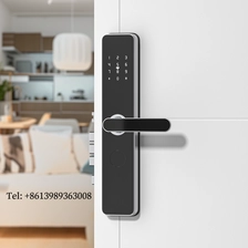 China Keyless Keyboard password RF card lock ttlock tuya App manufacturer