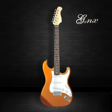 Cina Chitarra elettrica acustica del collo dell'acero di 5 sensi del volume di 2 toni all'ingrosso con l'amplificatore produttore