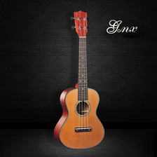 An tSín Mahogany Soprano Bundle Ukulele le Gig mála, Austin Bazaar teagaisc déantóir