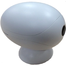 Çin P2P WiFi Kablosuz IP Kamera (RT-WF101) üretici firma
