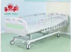 China D558a Elektrisches Bett Krankenhausbett (zwei Motoren) Hersteller