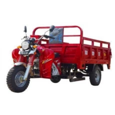 China LY-Kane Motorized/Electric tricycle manufacturer