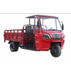 China LY-Kane-010 Motorized/Electric tricycles manufacturer