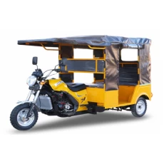 China LY-Kane-019 Motorized/Electric tricycles manufacturer