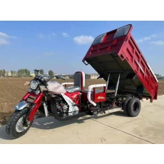 China LY-Kane Electric five-wheeler manufacturer