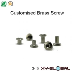 China Metal Screws Nuts Machine Steel Parts Pressing Machined Stainless Steel Part manufacturer
