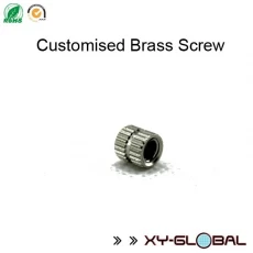 China Stainless steel Screw Part manufacturer