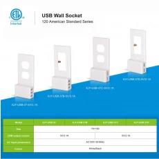 China DIY Snap On Wall Outlets Tampa Plate Substituição Duplex White Outlet Wall Plate Cover com Dual USB Carregar Portas para Celulares e Tablets fabricante