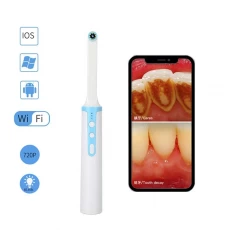 China Wireless Wifi Oral Dental Camera 1080p Hd Adjustable 8 Led Light Wifi Intraoral Endoscope For Dentist Tool manufacturer