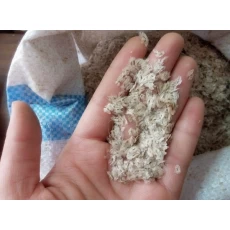 China resistentes híbrido 9501 sementes estéreis paulownia com melhor característica fabricante