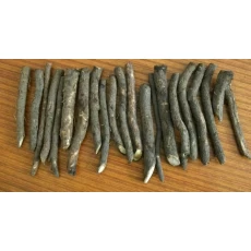 Cina Granoturco ibrido di paulownia semenzale con shantong 9501 produttore
