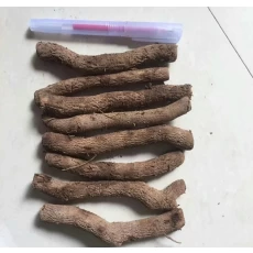 الصين جذور الجذور القولونية الجذور قطع الصانع
