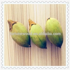 China Fast growing rate cold resistant paulownia shan tong seeds for planting fabricante