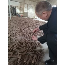 中国 2017年11月新鮮な桐の根を切る山東雑貨ハイブリッド9501とフィー証明書 メーカー